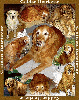 Golden Retriever Tapestry Afghan **